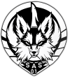 Escuadrón SAS